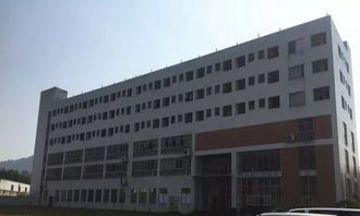 園林式食品廠房出租 番禺鐘村16000平方標準廠房，融合綠色生態與產業功能