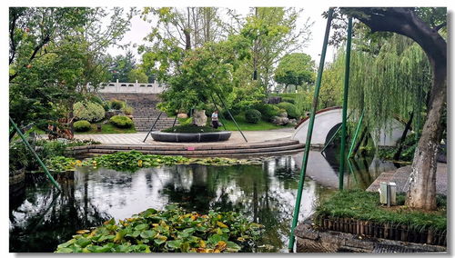 園林小景 方寸之間的自然詩(shī)畫(huà)